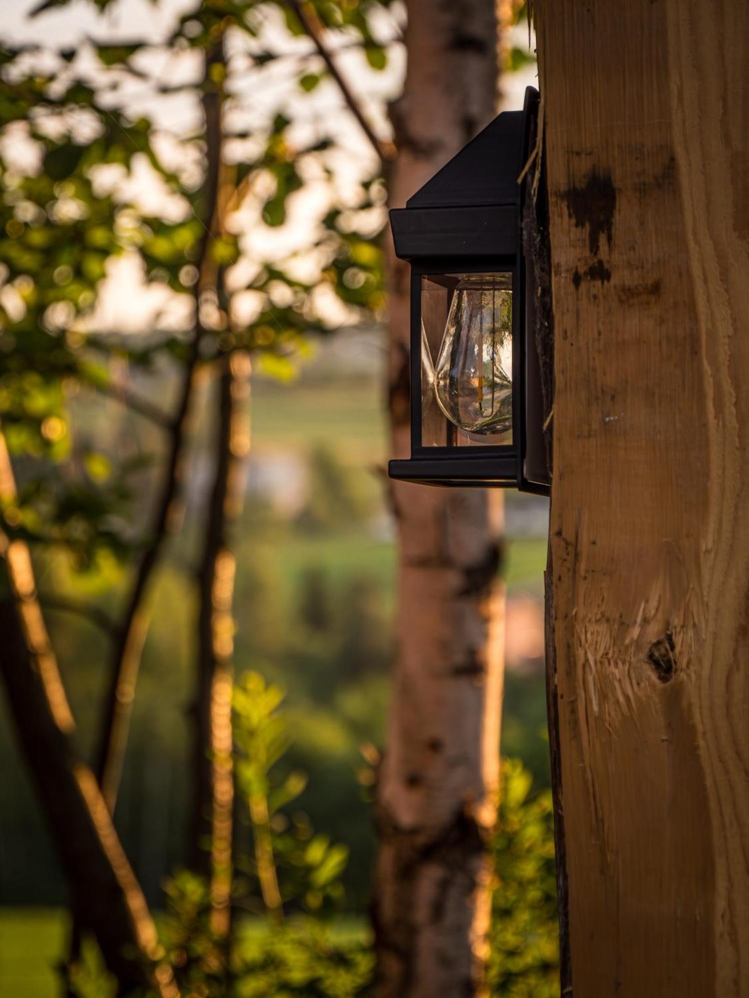 Fort Wapiti Otel Zalasowa Dış mekan fotoğraf